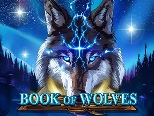 Book Of Wolves icon